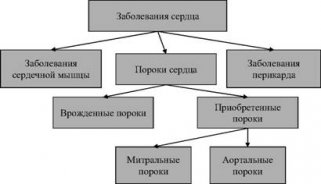 Сортировка и структурирование данных: Большинство собранных